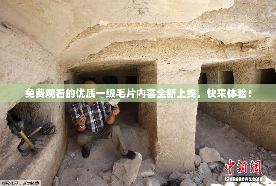 免费观看的优质一级毛片内容全新上线，快来体验！