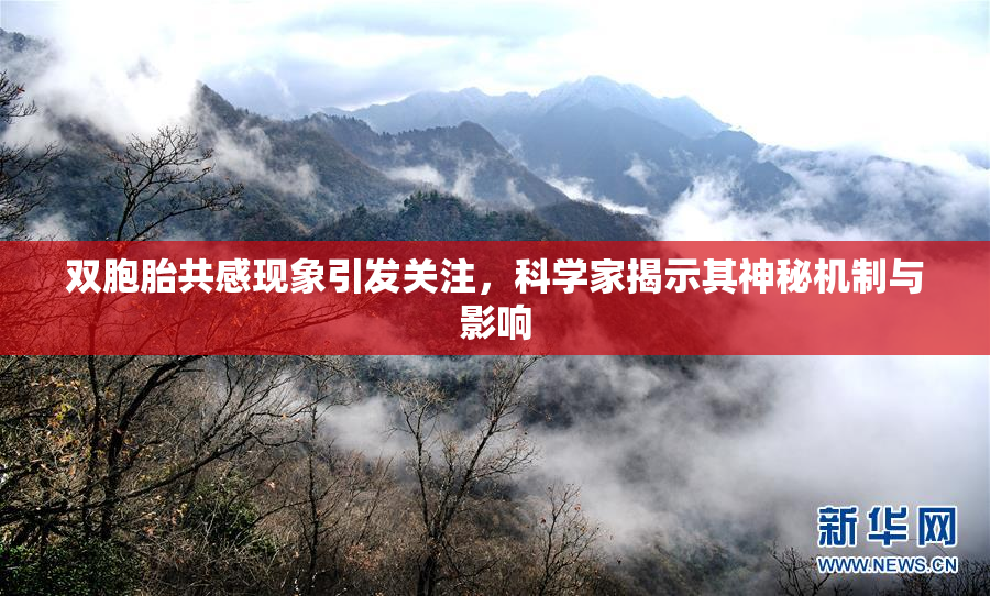 双胞胎共感现象引发关注，科学家揭示其神秘机制与影响