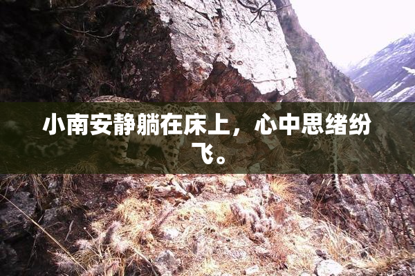 小南安静躺在床上，心中思绪纷飞。