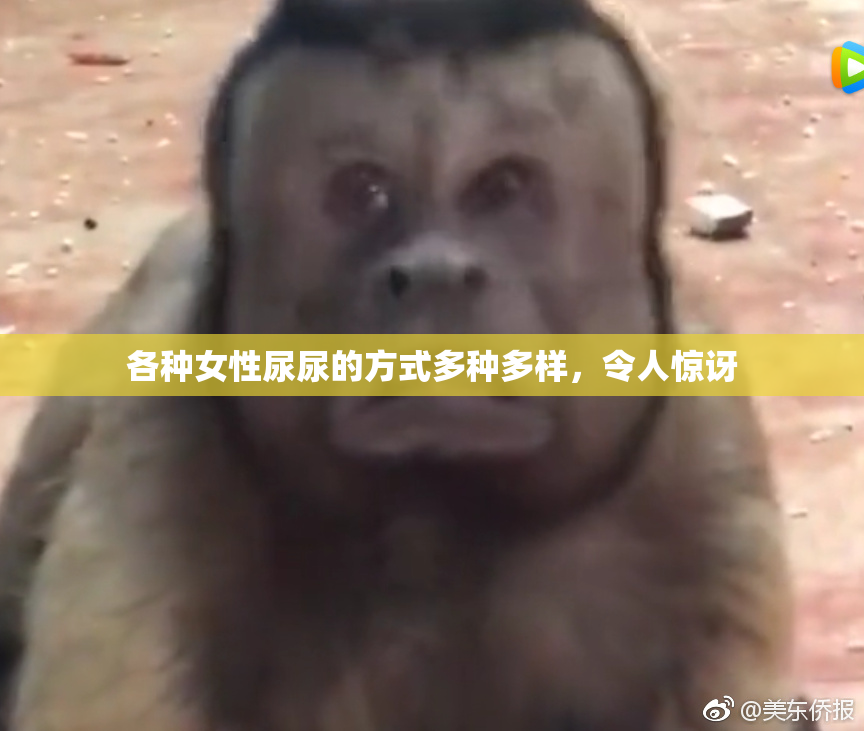 各种女性尿尿的方式多种多样，令人惊讶