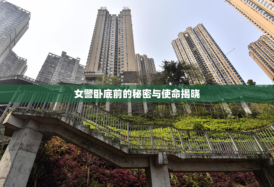 女警卧底前的秘密与使命揭晓
