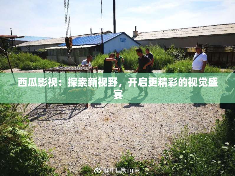西瓜影视：探索新视野，开启更精彩的视觉盛宴