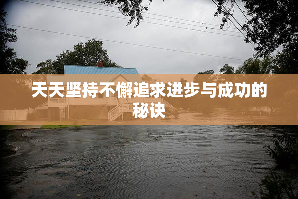 天天坚持不懈追求进步与成功的秘诀