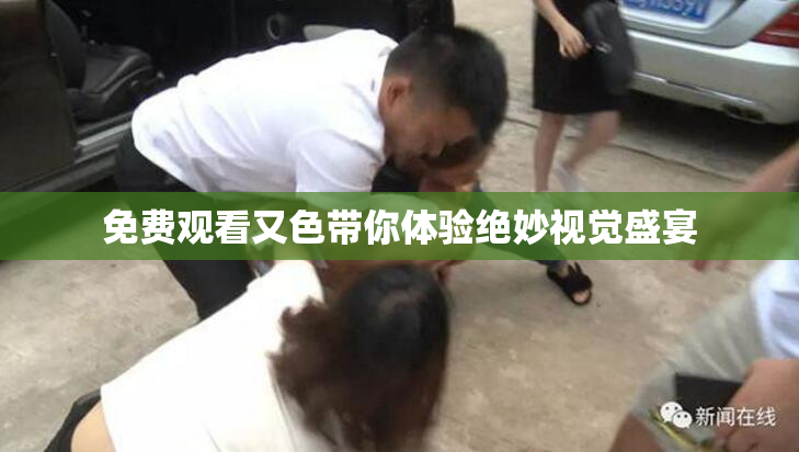 免费观看又色带你体验绝妙视觉盛宴