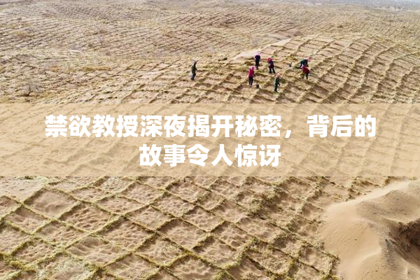 禁欲教授深夜揭开秘密，背后的故事令人惊讶