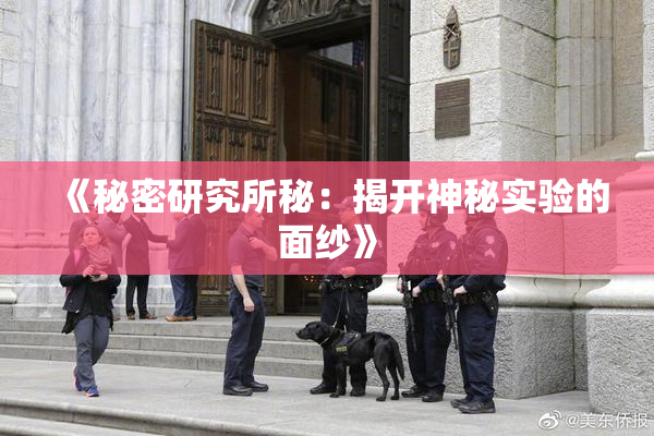《秘密研究所秘：揭开神秘实验的面纱》