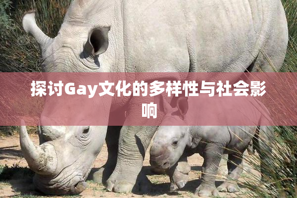 探讨Gay文化的多样性与社会影响