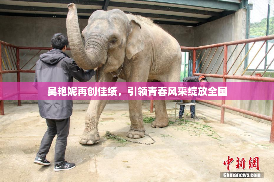 吴艳妮再创佳绩，引领青春风采绽放全国