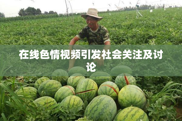 在线色情视频引发社会关注及讨论