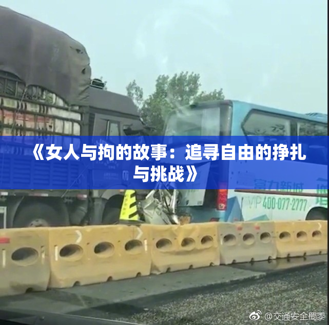 《女人与拘的故事：追寻自由的挣扎与挑战》