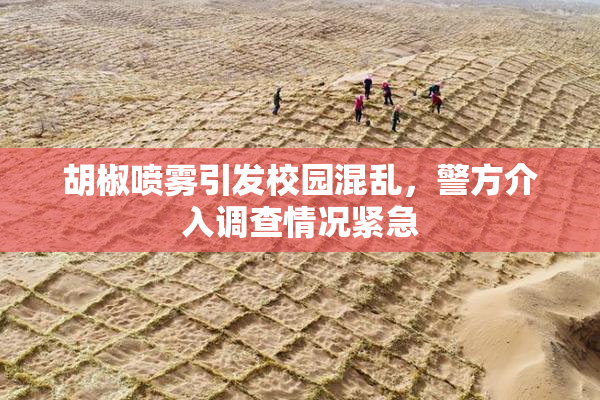 胡椒喷雾引发校园混乱，警方介入调查情况紧急