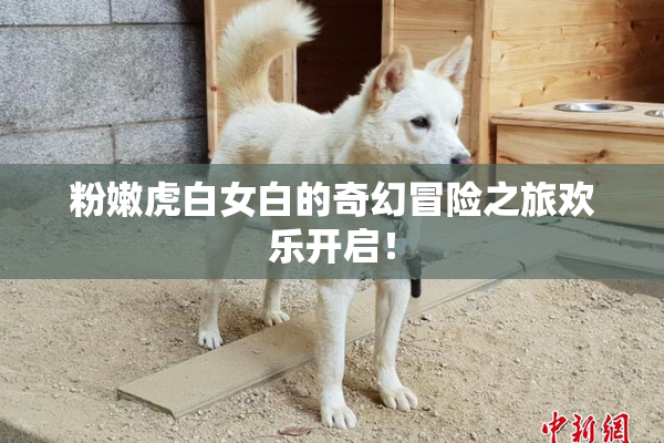 粉嫩虎白女白的奇幻冒险之旅欢乐开启！