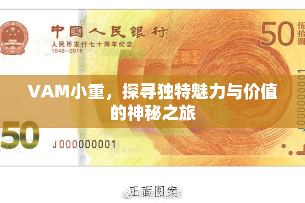 VAM小重，探寻独特魅力与价值的神秘之旅