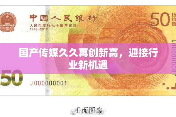 国产传媒久久再创新高，迎接行业新机遇