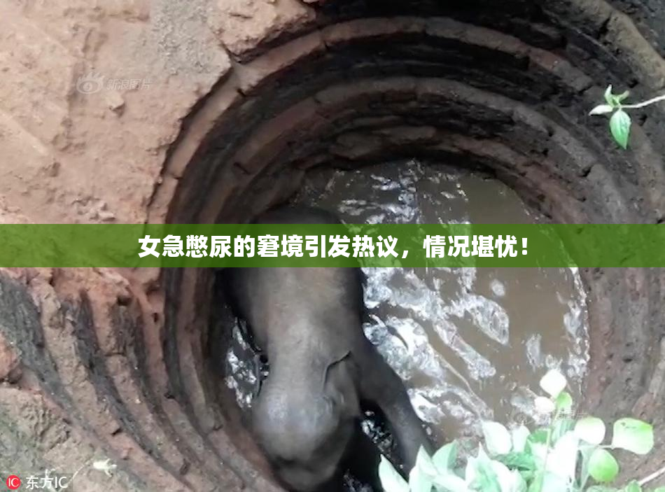 女急憋尿的窘境引发热议，情况堪忧！