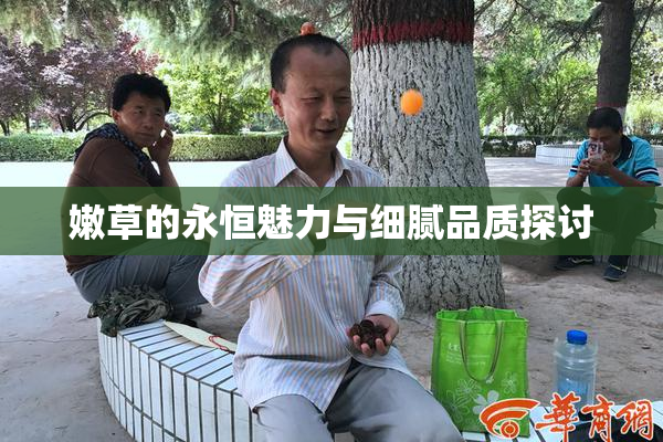 嫩草的永恒魅力与细腻品质探讨