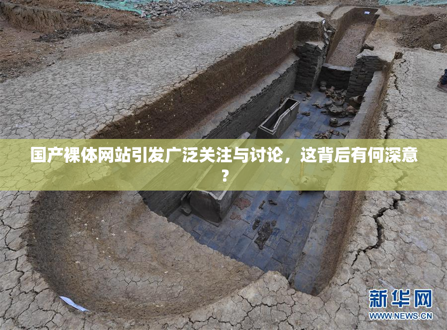 国产裸体网站引发广泛关注与讨论，这背后有何深意？