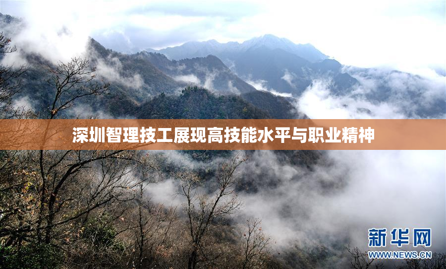 深圳智理技工展现高技能水平与职业精神