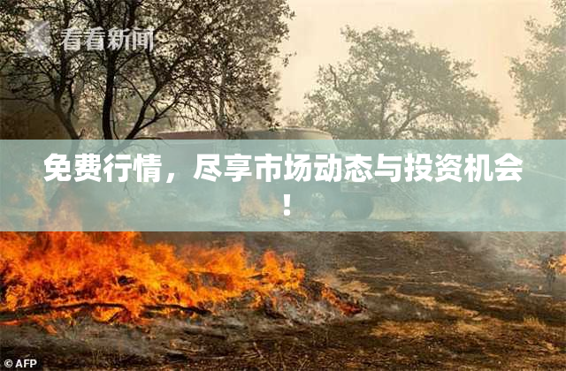 免费行情，尽享市场动态与投资机会！
