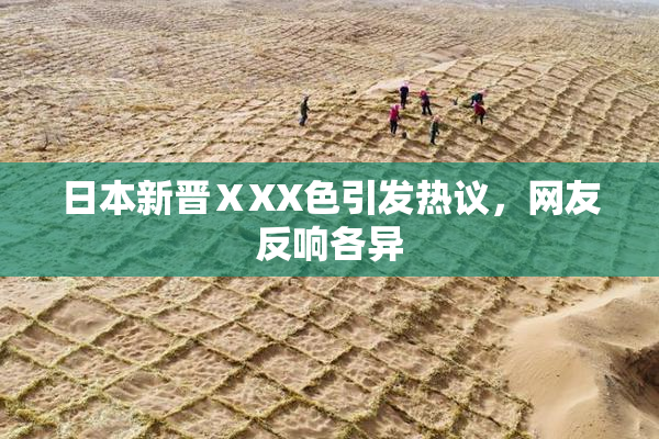 日本新晋ⅩXX色引发热议，网友反响各异