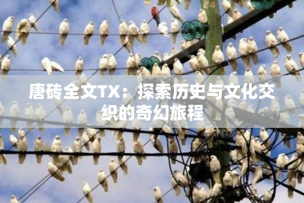唐砖全文TX：探索历史与文化交织的奇幻旅程