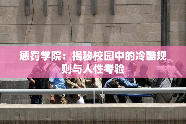 惩罚学院：揭秘校园中的冷酷规则与人性考验