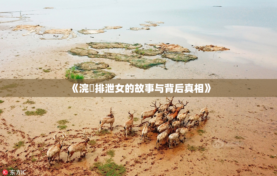 《浣腸排泄女的故事与背后真相》