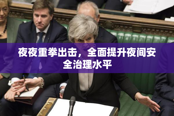 夜夜重拳出击，全面提升夜间安全治理水平