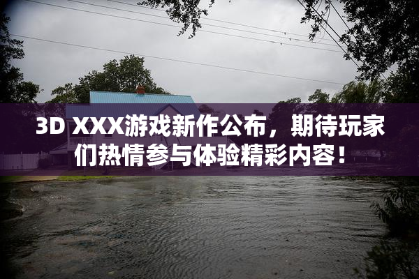 3D XXX游戏新作公布，期待玩家们热情参与体验精彩内容！