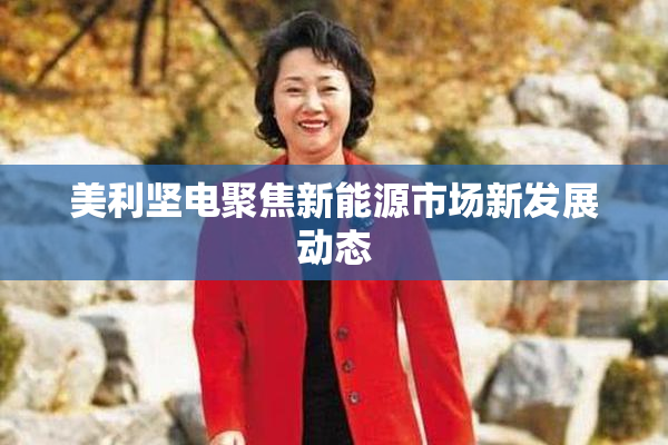 美利坚电聚焦新能源市场新发展动态
