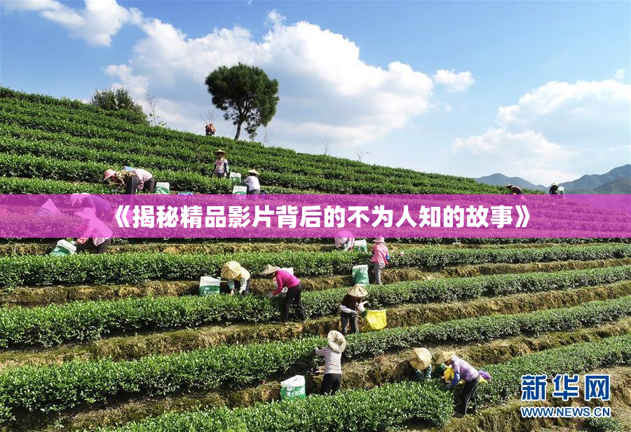 《揭秘精品影片背后的不为人知的故事》