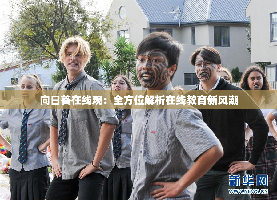 向日葵在线观：全方位解析在线教育新风潮