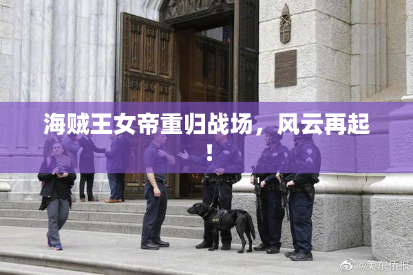 海贼王女帝重归战场，风云再起！