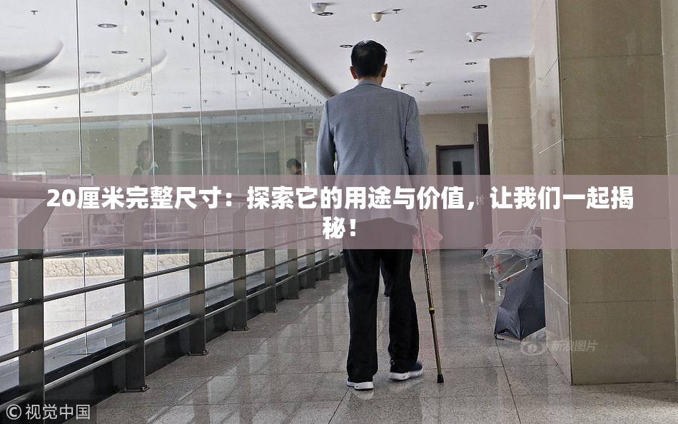 20厘米完整尺寸：探索它的用途与价值，让我们一起揭秘！