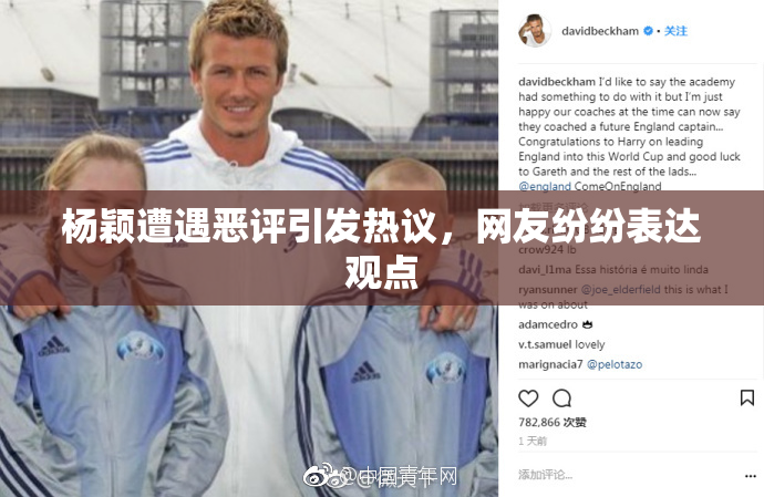 杨颖遭遇恶评引发热议，网友纷纷表达观点