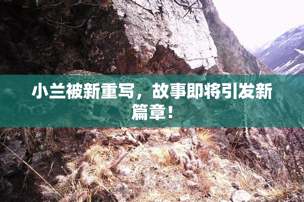 小兰被新重写，故事即将引发新篇章！