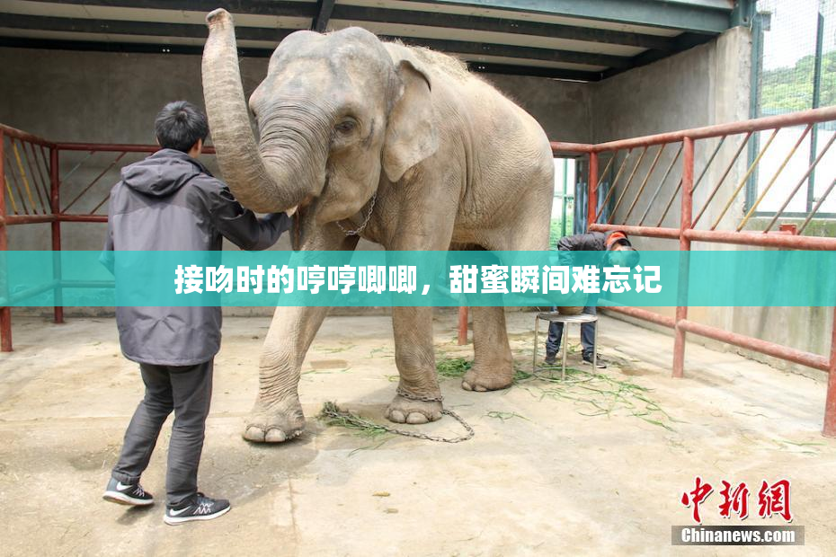 接吻时的哼哼唧唧，甜蜜瞬间难忘记