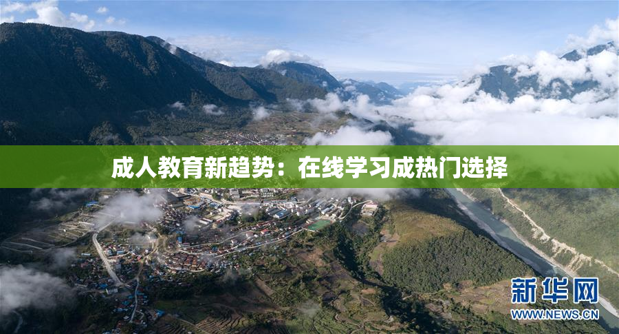 成人教育新趋势：在线学习成热门选择