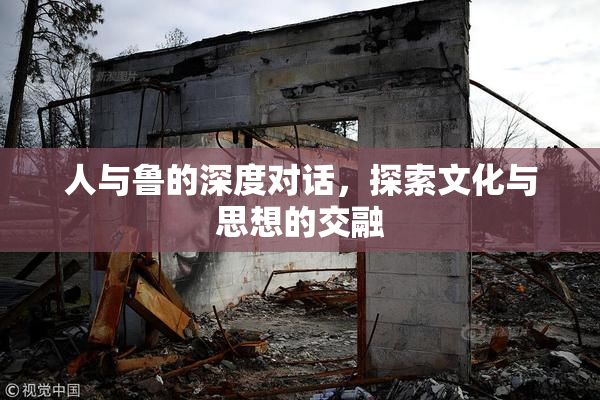 人与鲁的深度对话，探索文化与思想的交融