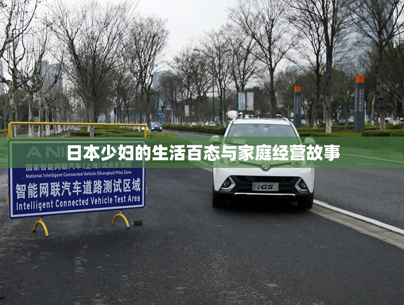 日本少妇的生活百态与家庭经营故事