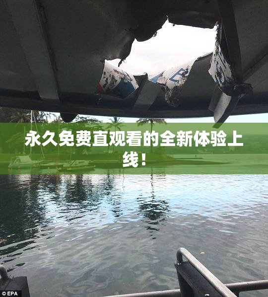 永久免费直观看的全新体验上线！