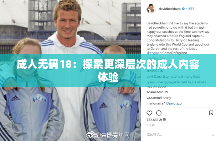 成人无码18：探索更深层次的成人内容体验
