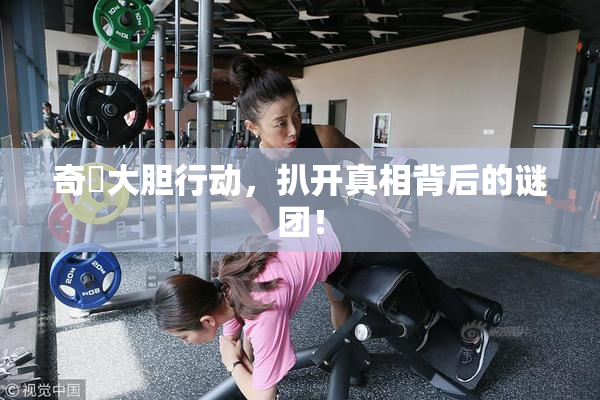 奇犽大胆行动，扒开真相背后的谜团！