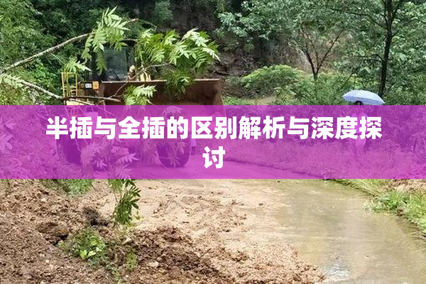 半插与全插的区别解析与深度探讨