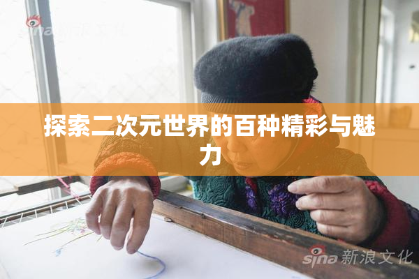 探索二次元世界的百种精彩与魅力