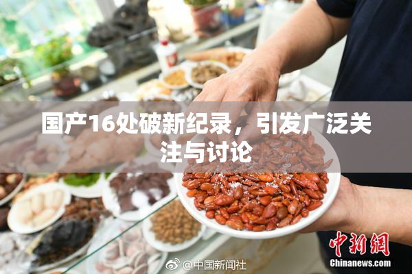 国产16处破新纪录，引发广泛关注与讨论