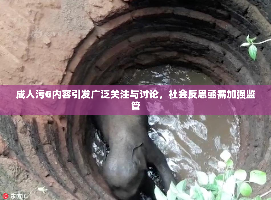 成人污G内容引发广泛关注与讨论，社会反思亟需加强监管