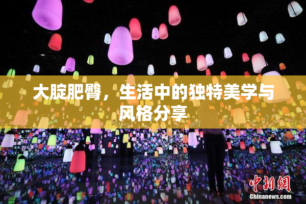 大腚肥臀，生活中的独特美学与风格分享