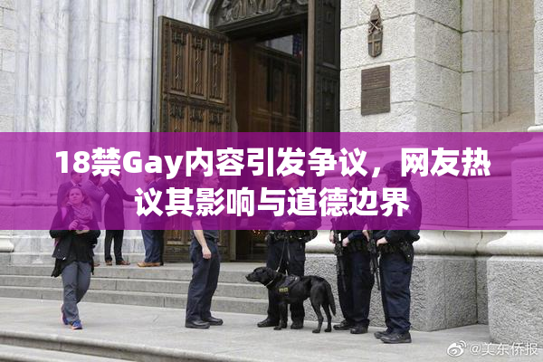 18禁Gay内容引发争议，网友热议其影响与道德边界