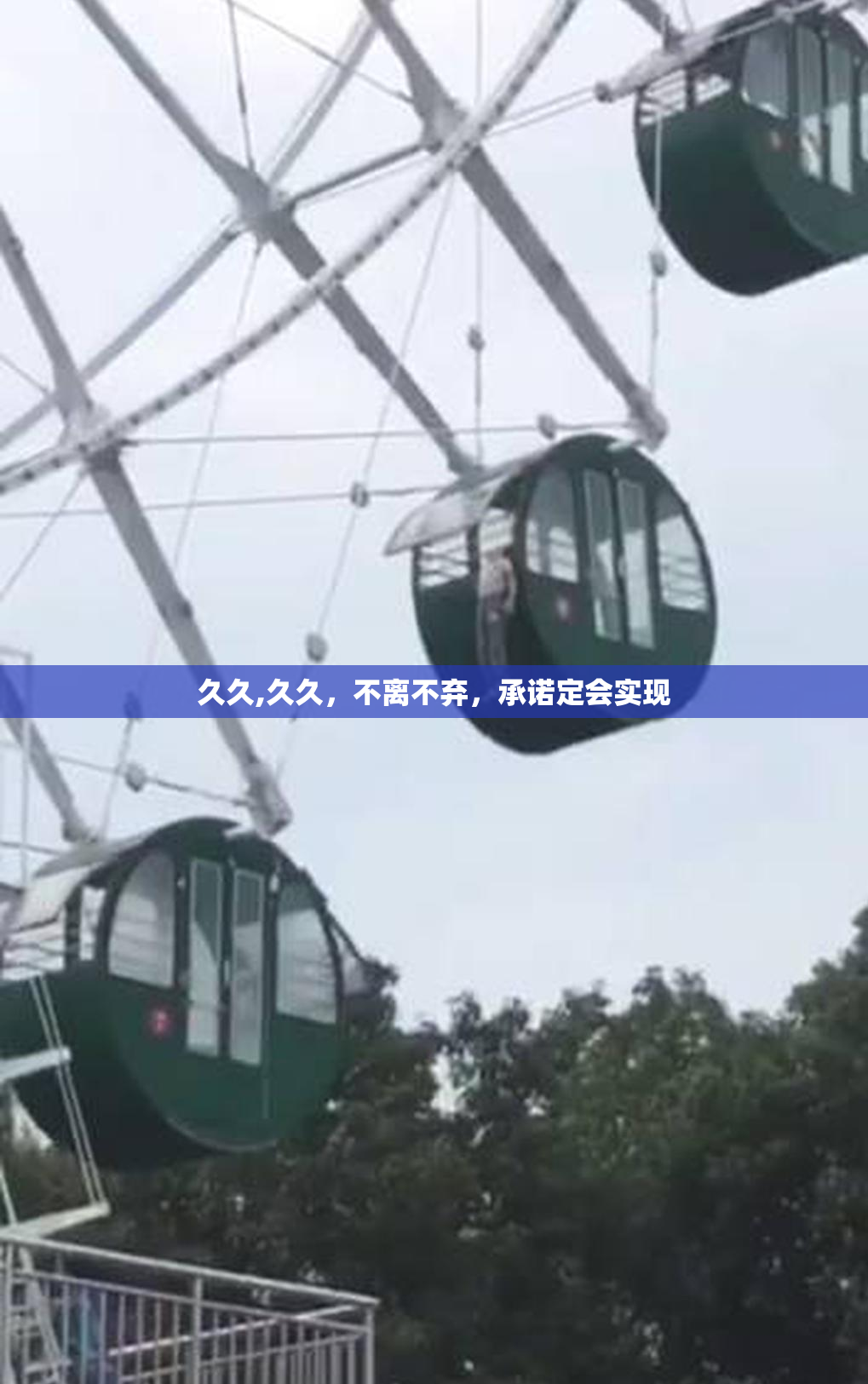 久久,久久，不离不弃，承诺定会实现